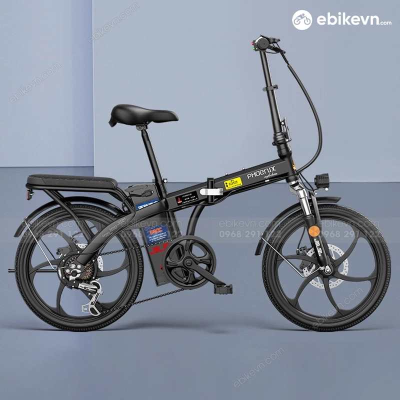 Phien Ban - Xe Dap Dien Phoenix R20 (3)
