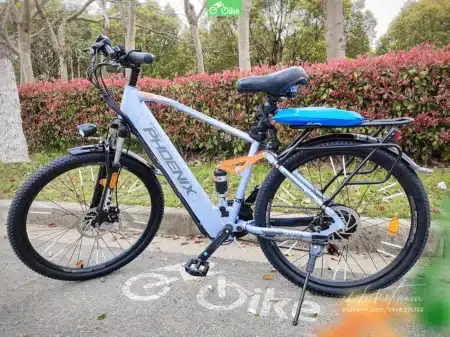 Phoenix 999 -ebikevn (2)