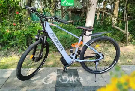 Phoenix 999 -ebikevn (3)