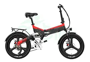 Xe Dap Dien Tro Luc Lankeleisi G650 Ebikevn