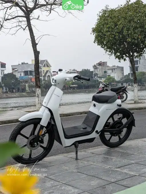 Xe Dien Honda Cub E Ebikevn (1)