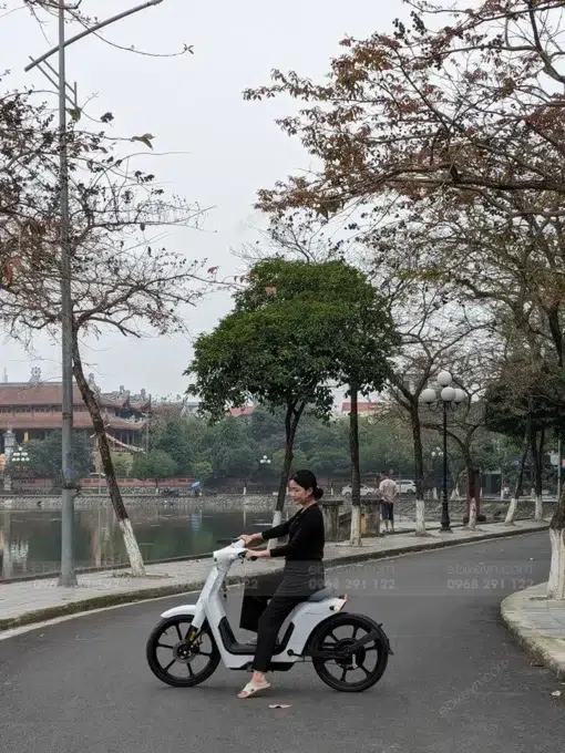 Xe Dien Honda Cub E Ebikevn (3)