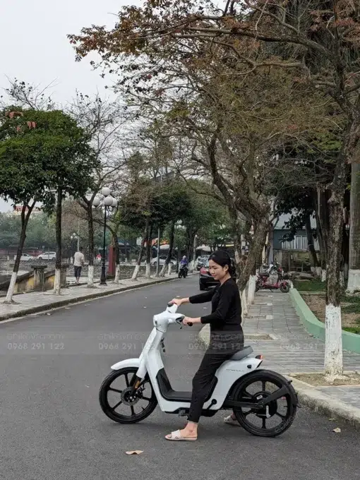 Xe Dien Honda Cub E Ebikevn (4)