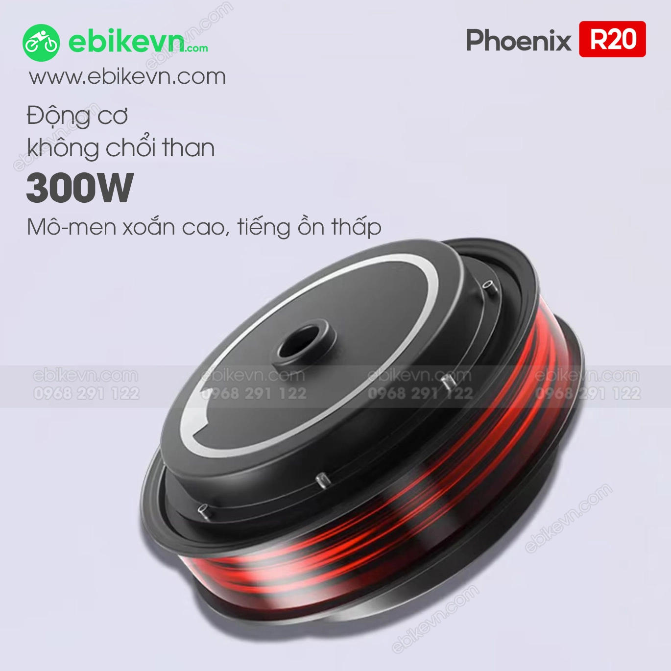 Ebikevietnam - Xe Dap Dien Phoenix R20 - Banh 20inch (6)