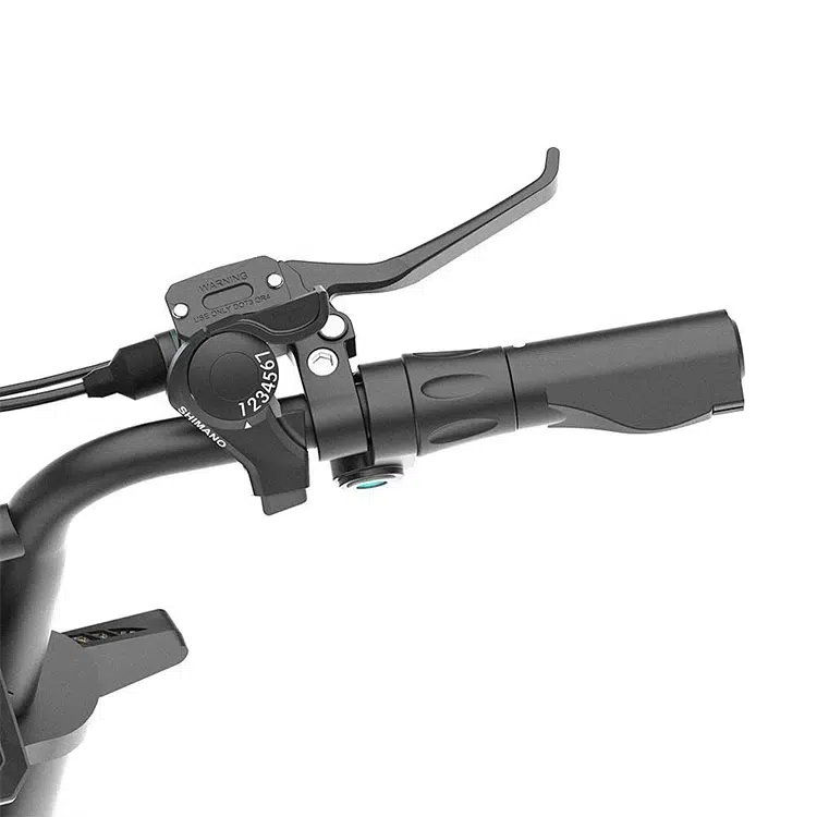 Ebikevn Xe Dap Tro Luc Dien Cosswheel Ct20S (22)