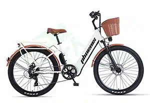 Ebikevn -xe Dap Tro Luc Dien Phoenix C1